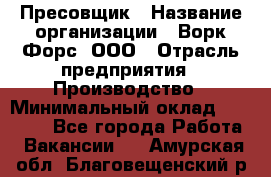 Пресовщик › Название организации ­ Ворк Форс, ООО › Отрасль предприятия ­ Производство › Минимальный оклад ­ 35 000 - Все города Работа » Вакансии   . Амурская обл.,Благовещенский р-н